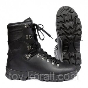 Ботинки зимні Meindl GoreTex (Black)