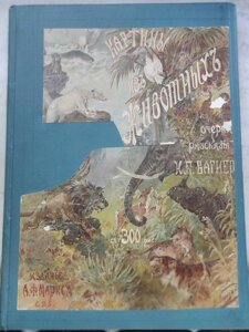 Антикварна книга Картини з життя тварин 1901 рік