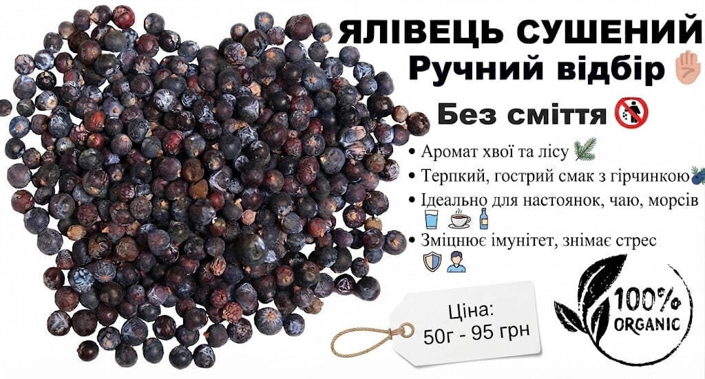 Ягода ялівця