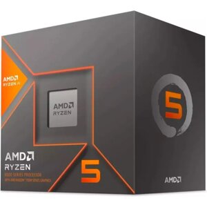 AMD Ryzen 5 8500G (100-100000931BOX)