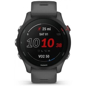 Garmin Forerunner 255 Slate Gray (010-02641-00/10/43)
