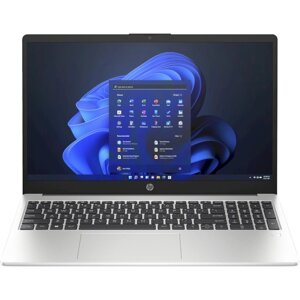 HP 250 G10 Turbo Silver (85C49EA)