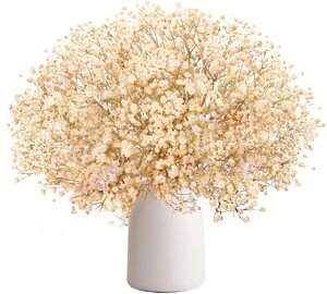 Натуральні білі сушені квіти гіпсофіли від Gipizi понад 2000 квіткових бутонів