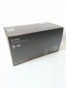 Фотоапарат Panasonic Lumix DC-GH5 kit (12-60mm)