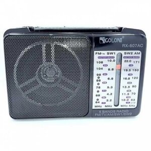 Портативний радіоприймач GOLON RX-607AC від мережі 220 В