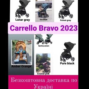 Прогулянкова коляска Carrello Bravo 2024