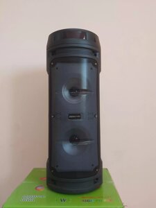 Портативна акустична система з караоке мікрофоном Winso ZQS6210W-6,5"x2 з RGB 30W + Пульт
