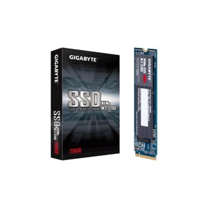 SSD накопичувач gigabyte GP-GSM2ne3256GNTD