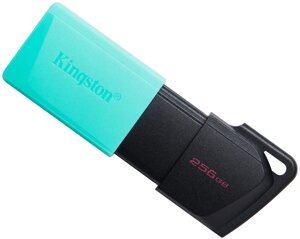 USB флеш накопичувач Kingston 256GB DataTraveler Exodia M USB 3.2 (DTXM/256GB)