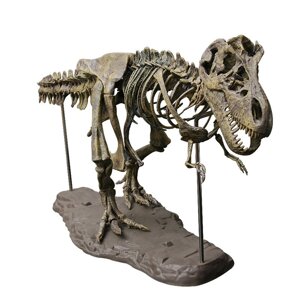 Модель скелета Тиранозавра Рекса 4D 54 деталі 70 см (Esalink)
