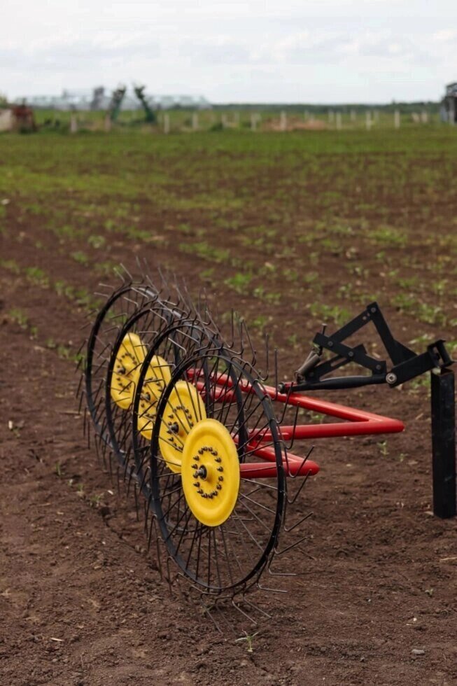 Граблі-ворушилки універсальні Agro від компанії Agrofast - фото 1