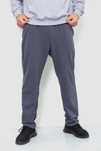 Спорт штани чоловічі двонитка, колір сірий, 241R1623