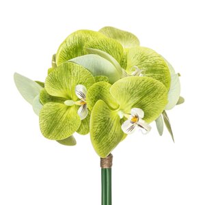 Штучна орхідея Фаленопсис, 5 гілок, букет Мотанка Зелений