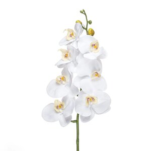Штучна орхідея Фаленопсис, 7 голів, біла