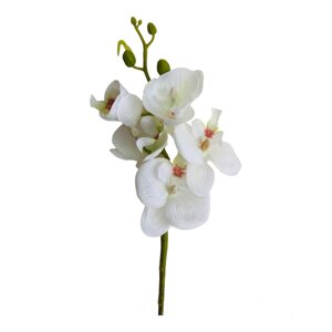 Штучна Орхідея Фаленопсіс Міні біла