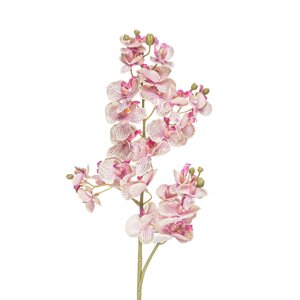 Штучна орхідея Фаленопсис міні