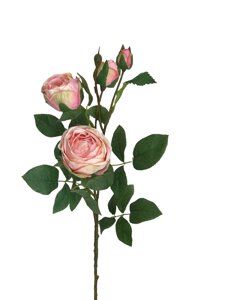 Штучна троянда Чайна, 4 голови, кремовий