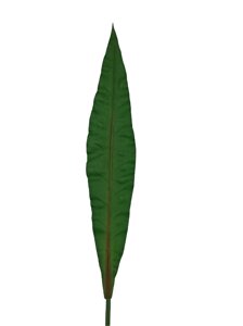 Штучний лист довгий, великий, зелений