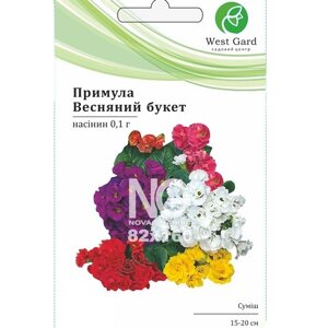 Примула (первоцвіт) Весняний букет WestGard