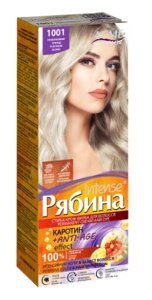 Фарба для волосся ACME COLOR Горобина №1001 Платиновий блонд