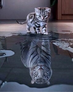 Набір Алмазна мозаїка вишивка Коли я виросту і стану велетнем кішка тигр кіт на підрамнику повна 5d 30х40