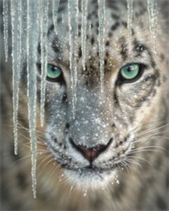 Набір Алмазна мозаїка вишивка Сніговий барс ірбіс сніг тигр мороз Білий леопард на підрамнику повна 5d 30х40