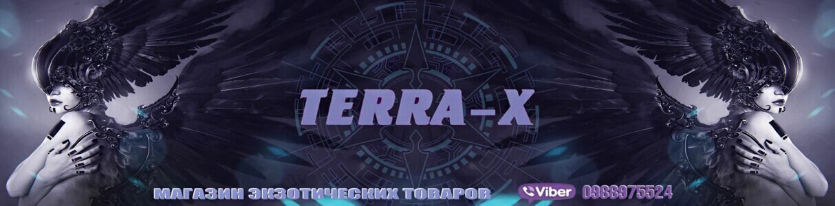 TERRA-X