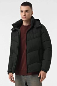 Чоловіча куртка темно-зелена демісезонна (арт. DV-101-green-bottle)