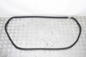 Galle Of Trunk Lid Eu Toyota Corolla E16 2013-2018 6446102180 (10060605)