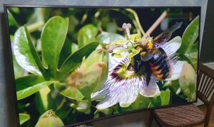 Телевізор Panasonic 65 cpw854,4K,3D, Флагман.