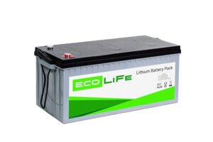 Акумулятор LiFePO4 LiFe EcoLiFe 12-200