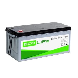 Акумулятор LiFePO4 LiFe EcoLiFe 24-100