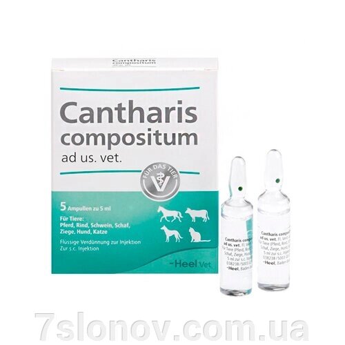Ampoule Cantaris Compositum 5 мл Heel vet Німеччина від компанії Інтернет Ветаптека 7 слонів - фото 1