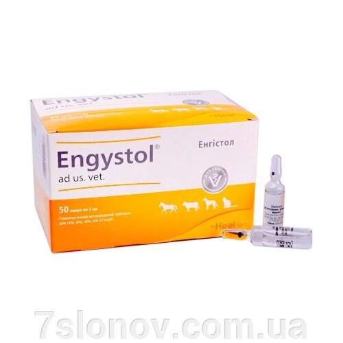Angistol Ampoule 5 мл ветеринарної німецької каблуки від компанії Інтернет Ветаптека 7 слонів - фото 1