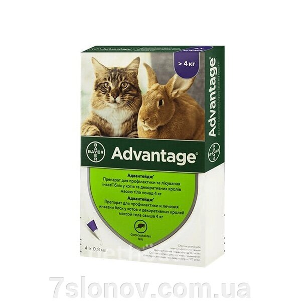Краплі на загривку Адвантейдж для кішок від 4 кг 1 піпетка Bayer від компанії Інтернет Ветаптека 7 слонів - фото 1