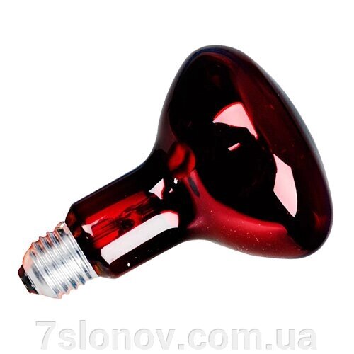 Лампа ISKRA Україна без пакування 250 W 230 V від компанії Інтернет Ветаптека 7 слонів - фото 1
