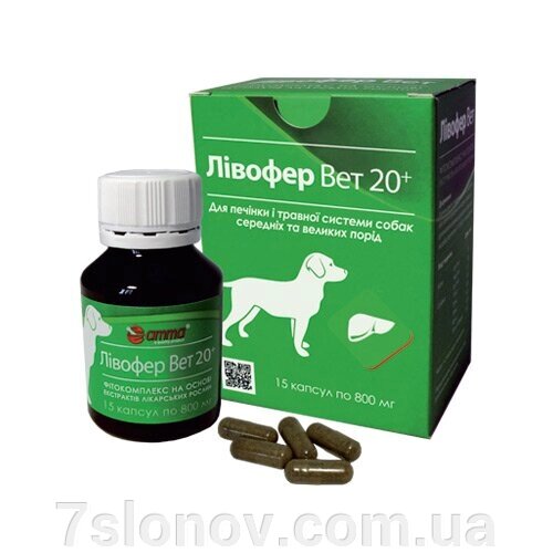 ЛІВОФЕР ВІТ 20+ для печінки та травної системи собак середніх та великих порід AMMA від компанії Інтернет Ветаптека 7 слонів - фото 1