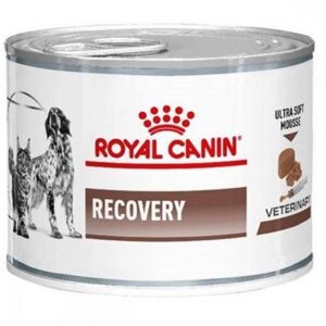 Корм для собак і котів Recovery, що відновлює 195 г Royal Canin