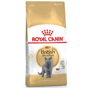 Сухий корм для котів British Shorthair Adult для породи англійська короткошерста 1 кг Royal Canin