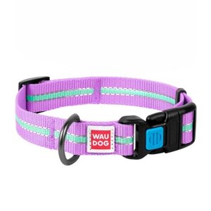 Нашийник WAUDOG Nylon світлонакопичувальний фіолетовий 25 мм х 31-49 см COLLAR 45649 в Харківській області от компании Интернет Ветаптека 7 слонов