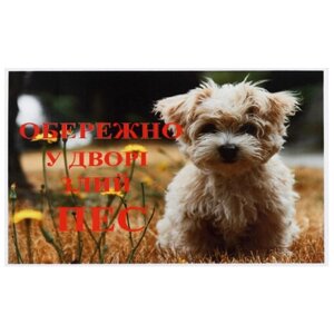 Табличка "Осторожно, во дворе злой пёс" МТ-115 ПЕСиК
