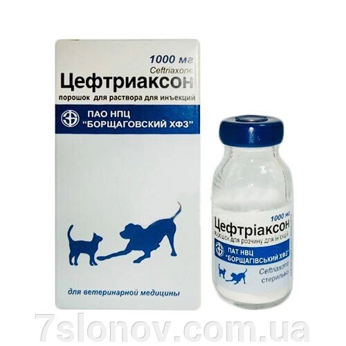 Порошок для ін'єкцій Цефтріаксон антибіотик бактерицидної дії 1 г БХФЗ від компанії Інтернет Ветаптека 7 слонів - фото 1