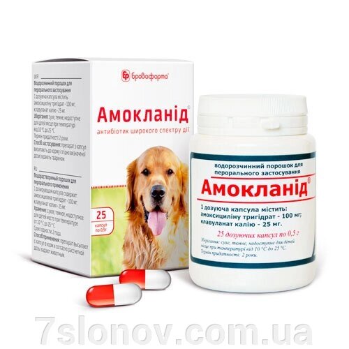 Порошок у капсулах Амокланід 0,5 г антибактеріальний препарат широкого спектру дії №25 Бровафарму від компанії Інтернет Ветаптека 7 слонів - фото 1