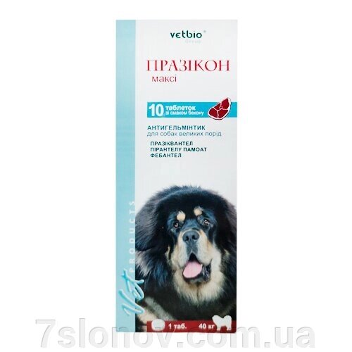 Празикон МАКСІ для великих собак 1 таблетка на 40 кг №10 Vetbio від компанії Інтернет Ветаптека 7 слонів - фото 1