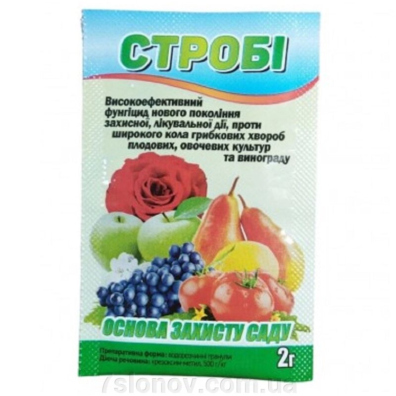 Розчин Стробі фунгіцид широкого спектра дії 2 г BASF від компанії Інтернет Ветаптека 7 слонів - фото 1