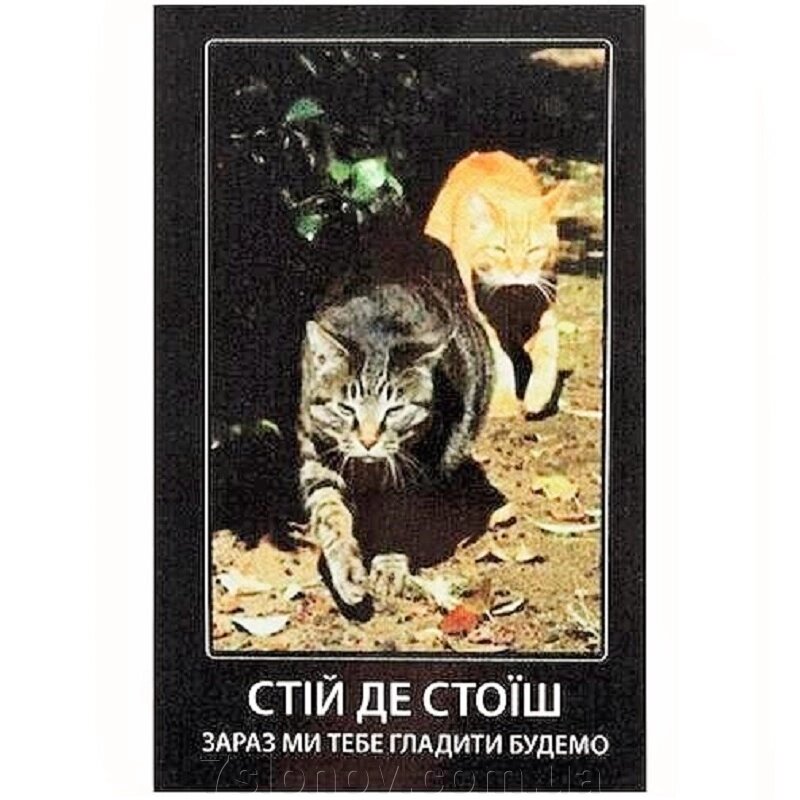 Табличка МТ-123 Стій, де стоїш ПЕСИК від компанії Інтернет Ветаптека 7 слонів - фото 1