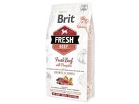 Brit Fresh Beef with Pumpkin Puppy для цуценят великих порід з яловичиною та гарбузом 2.5 кг від компанії ПП Блищик - фото 1