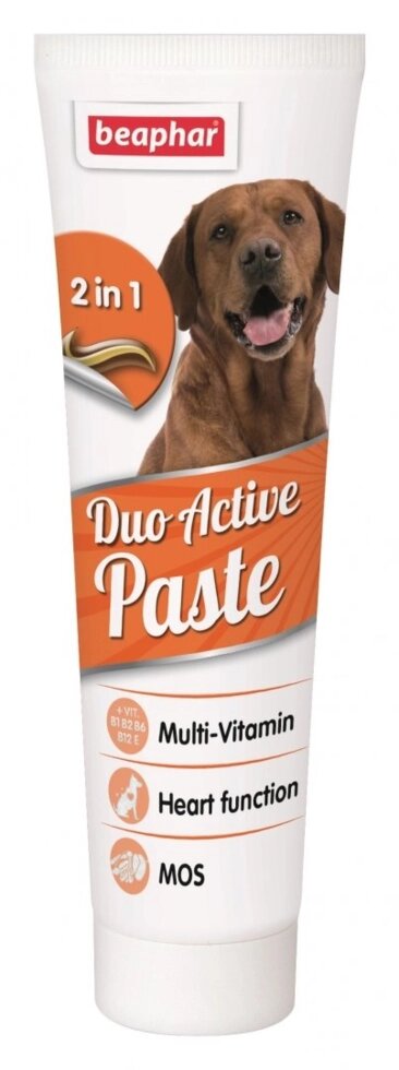 Duo Active Pasta for Dogs подвійна мультивітамінна паста для здоров'я кишківника 100г від компанії ПП Блищик - фото 1