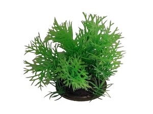 Minjiang Пластикова рослина для акваріума, 8 см