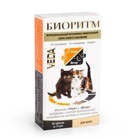 Veda біоритмів для кошенят 48табл